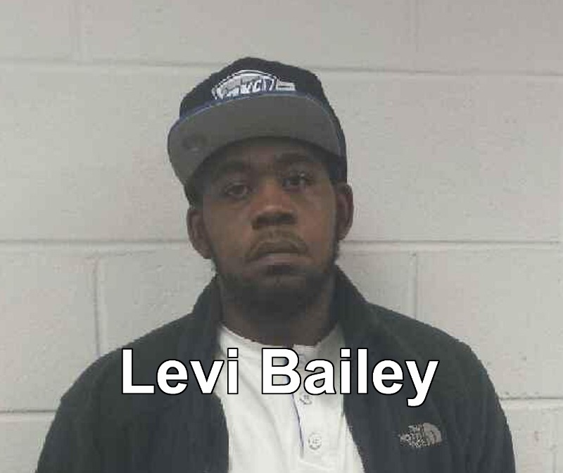 645eecc55128295599ff_Levi_Bailey__800x672_.jpg