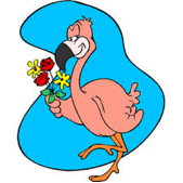 e4cc864f6b3a0f8c3853_flamingo.jpg