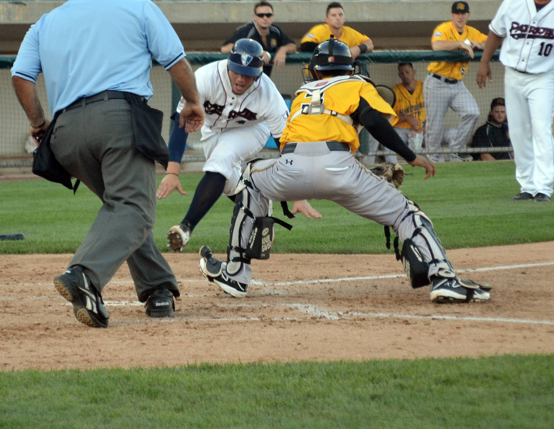 ce8fbf395365af3e9881_5a5f34ed425692e36788_828gonzalezplayatplate.jpg