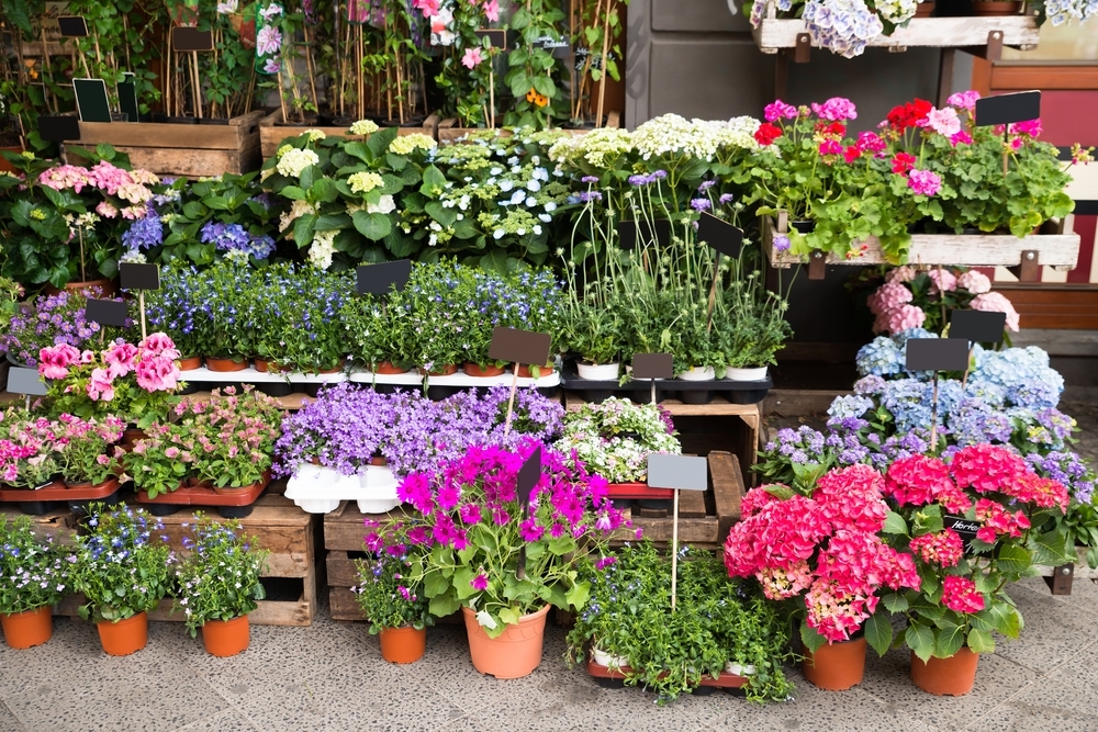 dbc0b4f67f15d295cc5c_Farmer_s_Market_2.jpg
