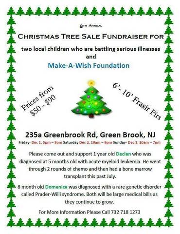 danny paltjon 39 s christmas tree fundraiser starts friday in selling christmas trees fundraiser