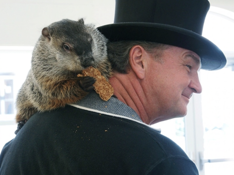 groundhog day how many days did it last the story of punxsutawney phil news tapinto groundhog day how many days did it last the story of punxsutawney phil news tapinto