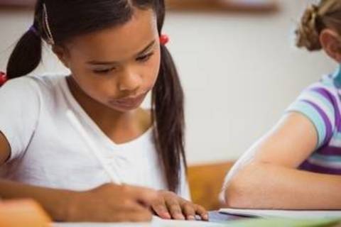 Zeus homework help