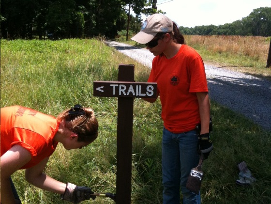 0dee756f62eadc5d8414_county_youth_conservatiocorps520.jpg