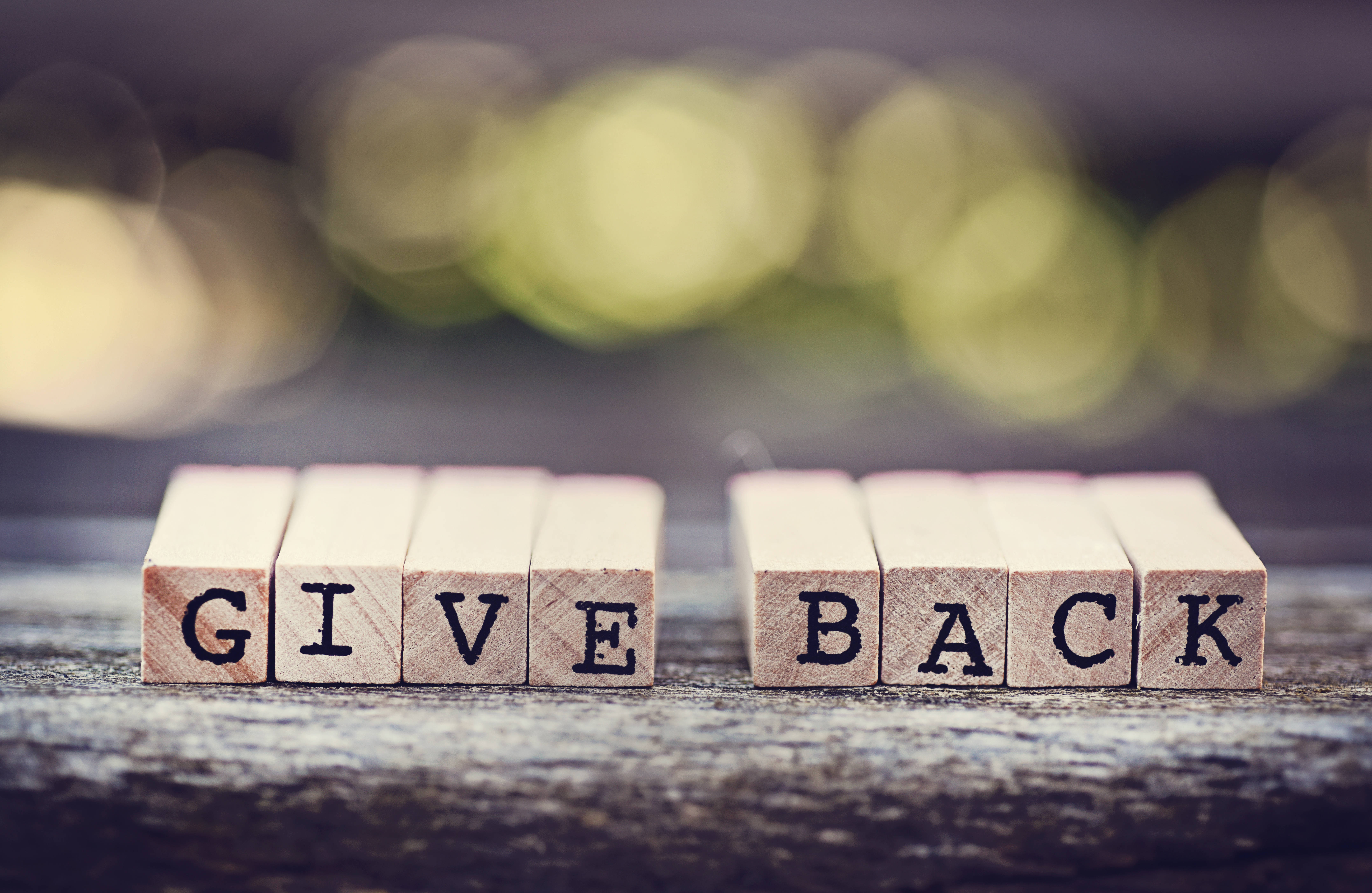 93cf23607934778d093c giving back 1