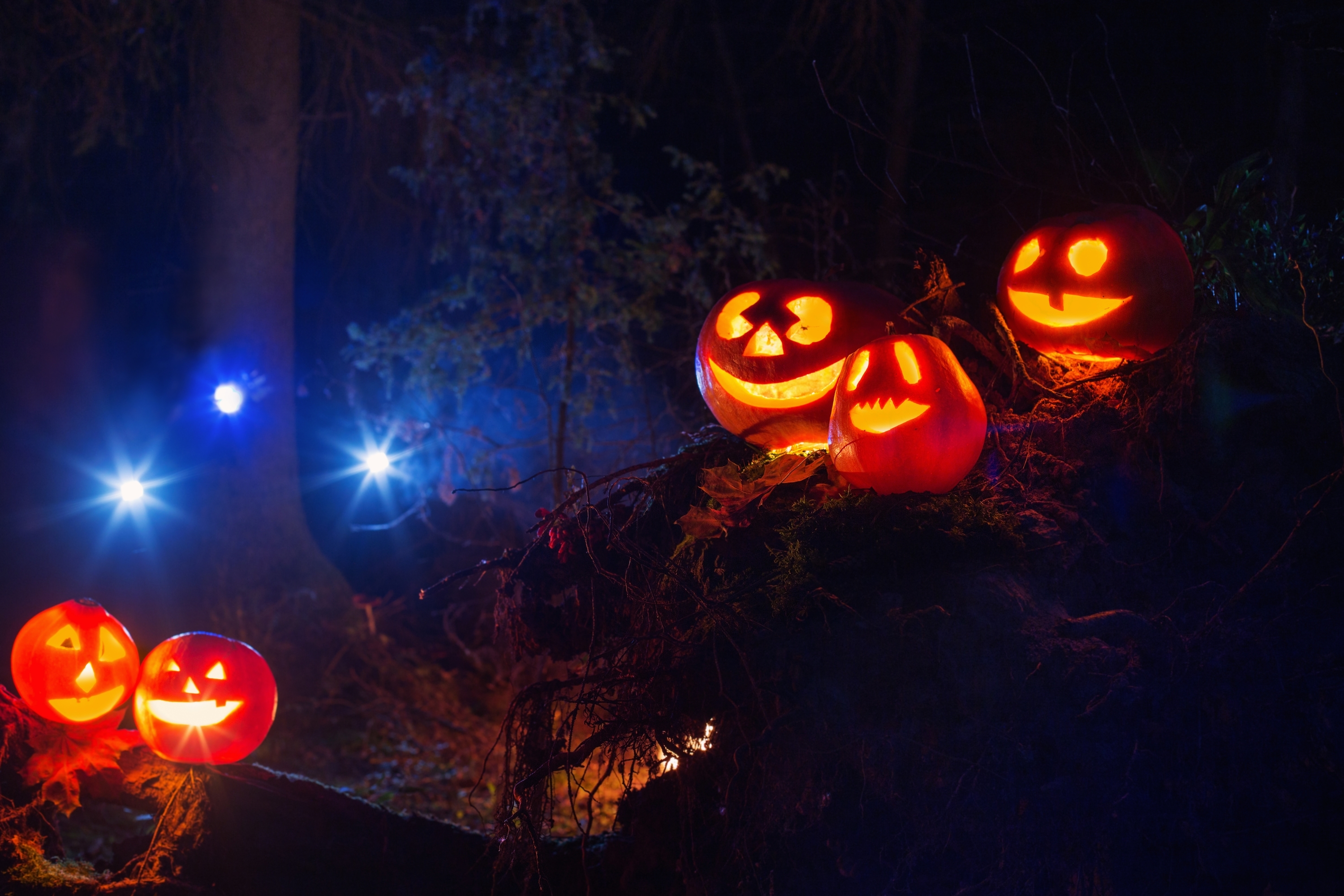 633d995c76479ba5c200_Halloween_Pumpkins.jpg