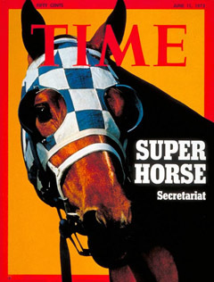 7bb8f9fdc55ad447d4c4_super-horse.jpg