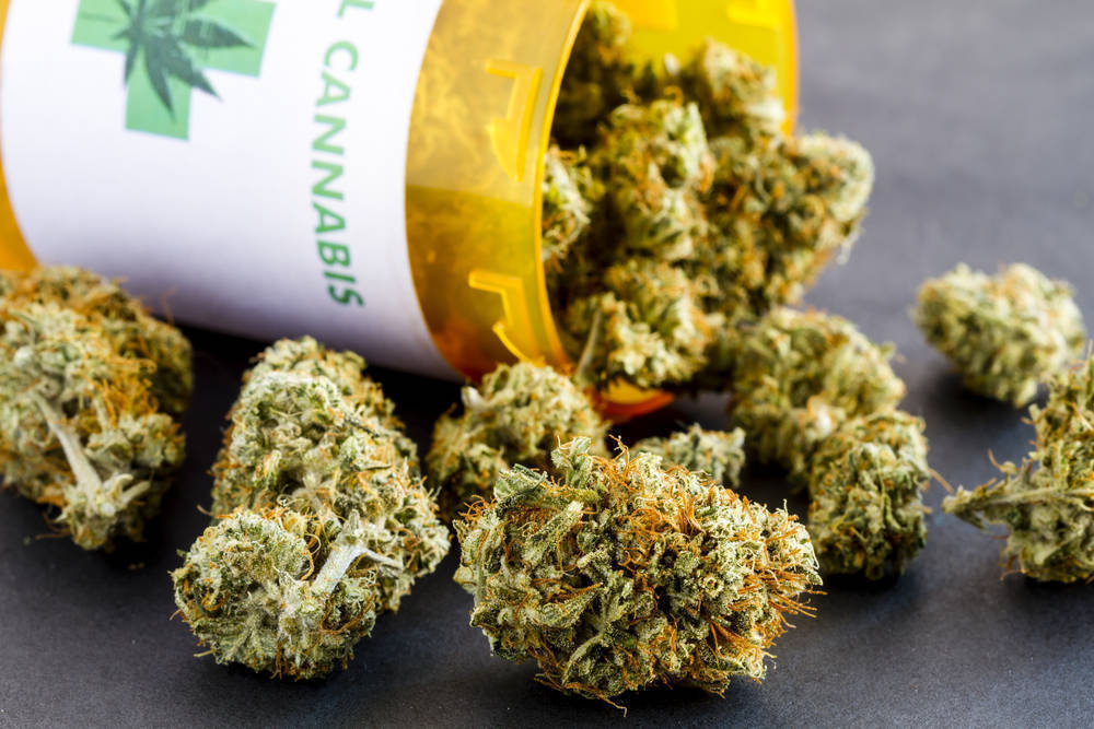 bb6221cebf7a80ea0259_76e69a4a641dc5ca8577_Marijuana_1.jpg