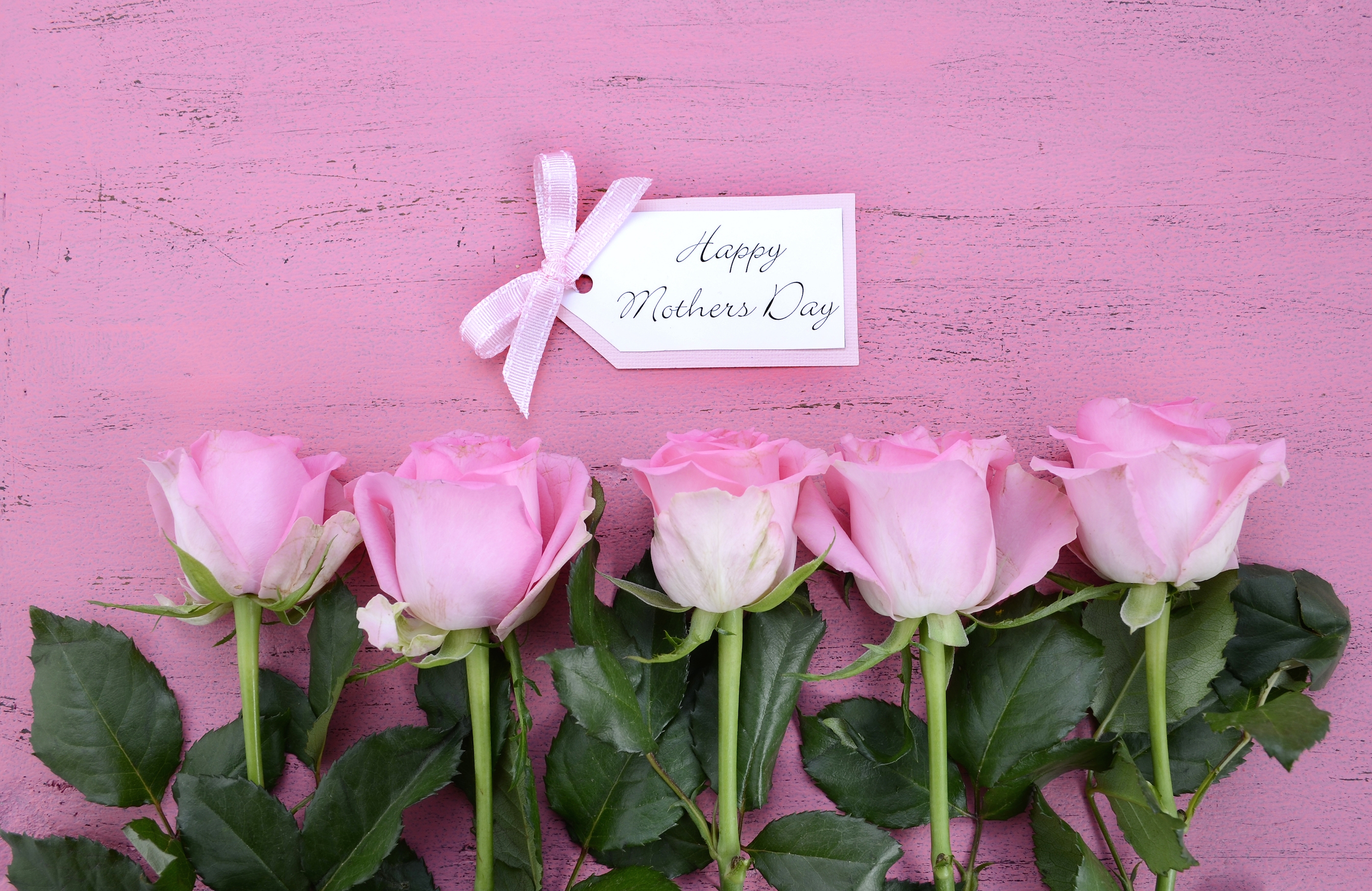 F3bb26342adfbd3ced6b mother s day