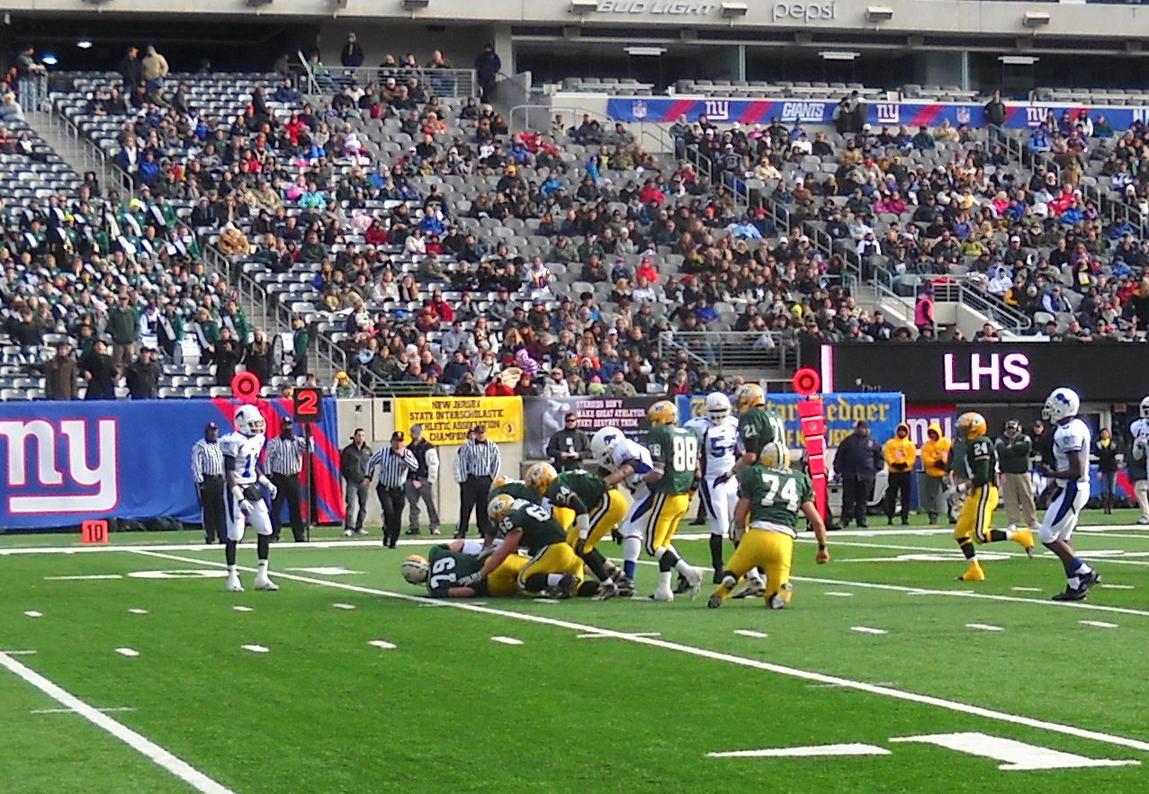 7f8efa87ed27d9848384_npchamp3.jpg