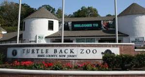 0781e931ee5182154eff_zoo.jpg