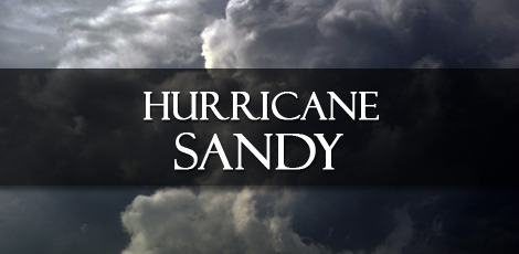 2f27a3b8b8d2ecbac5ff_sandy2.jpg