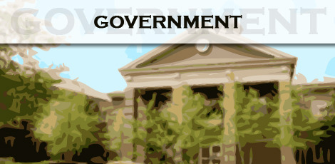 3ac518974f9489a50a78_government.jpg