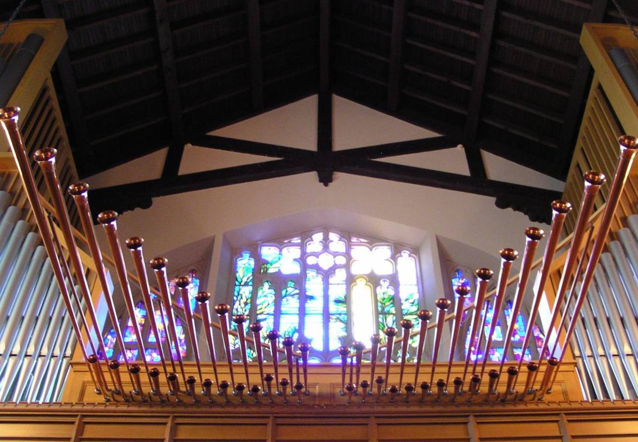 45585b423848bf94fdf1_organ.jpg