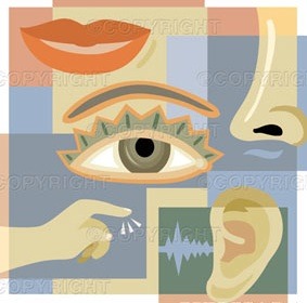 8c5766601bc3621f292d_5senses.jpg