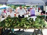 8e5e303cb4a349c5ae42_corn.jpg