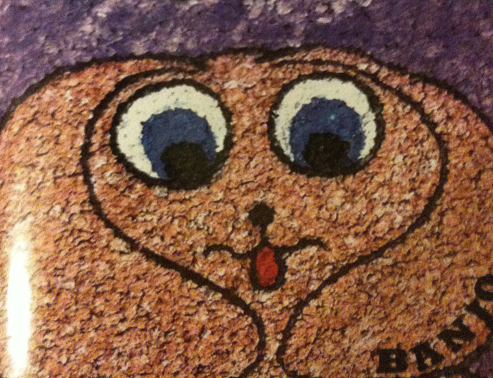 912f1d4a30a07fedcec4_banjo_book_art.jpg