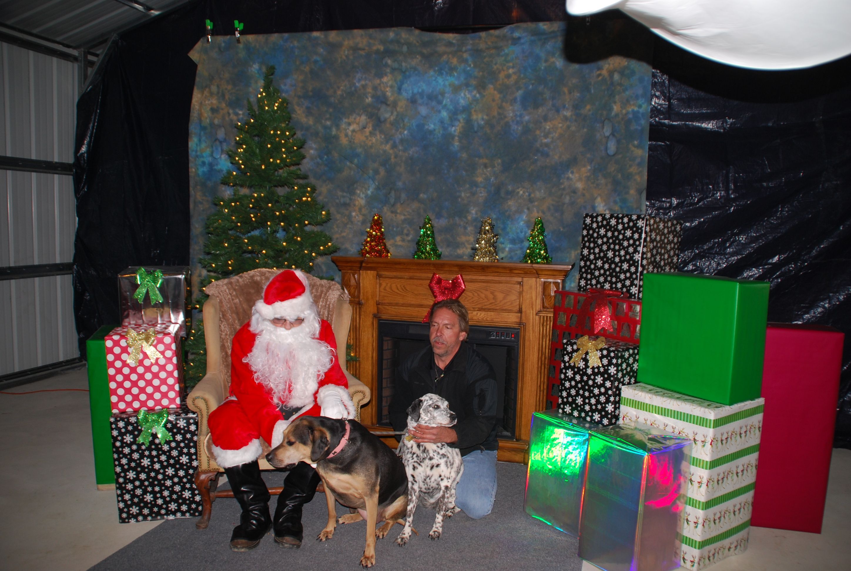 96459b324b14c55146ed_ed_and_dogs2.jpg