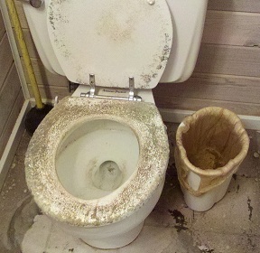 a61e92a8f28ece902a92_toilet.jpg