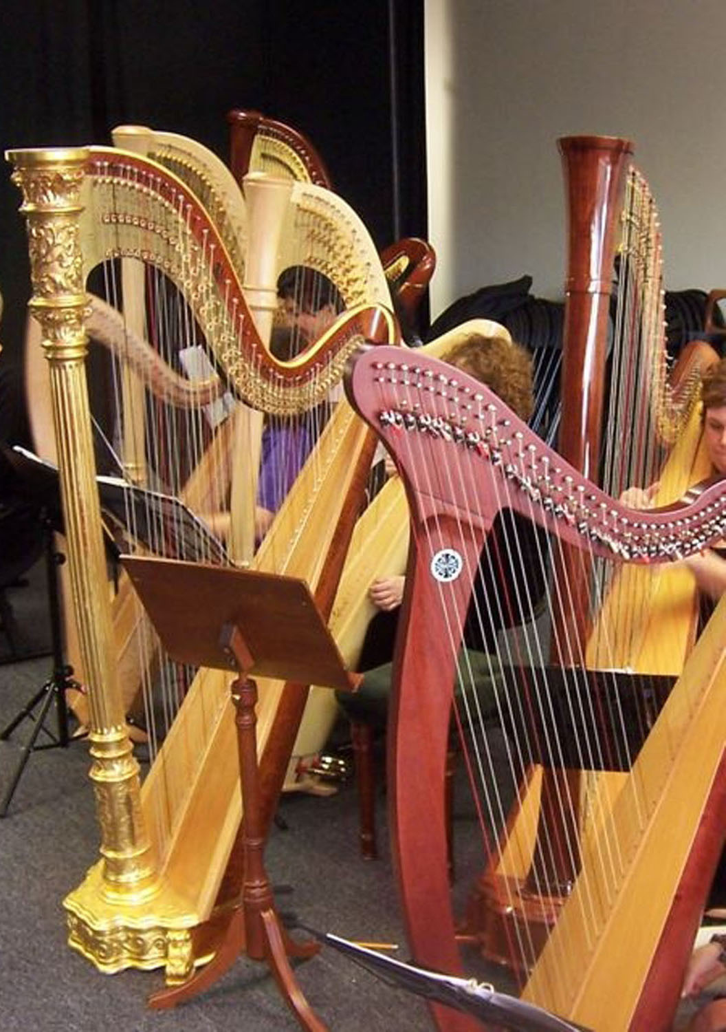 aa5733748254ee110d6f_Harp1.jpg