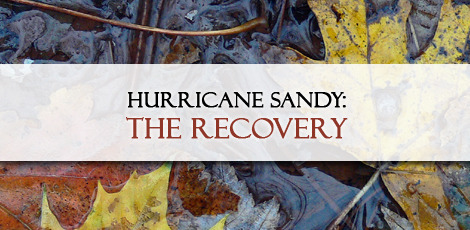 bfb4a115d6787f5c6cc5_sandy_recovery.jpg