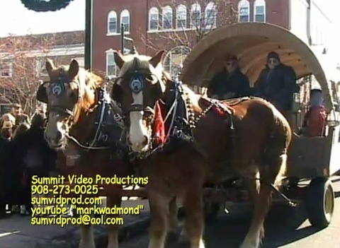 c8e3bb1ed2d9a76c4f66_Horse___carriage.jpg