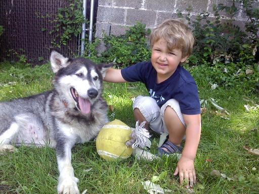 d89486ac438d274d8a57_dog.jpg