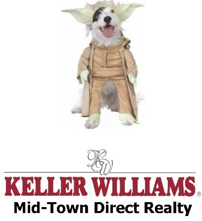 e3ce84472927b1731bc6_petcostumeposter.jpg