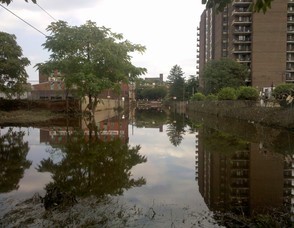 eb98a4242f7620d03cd0_flood.jpg