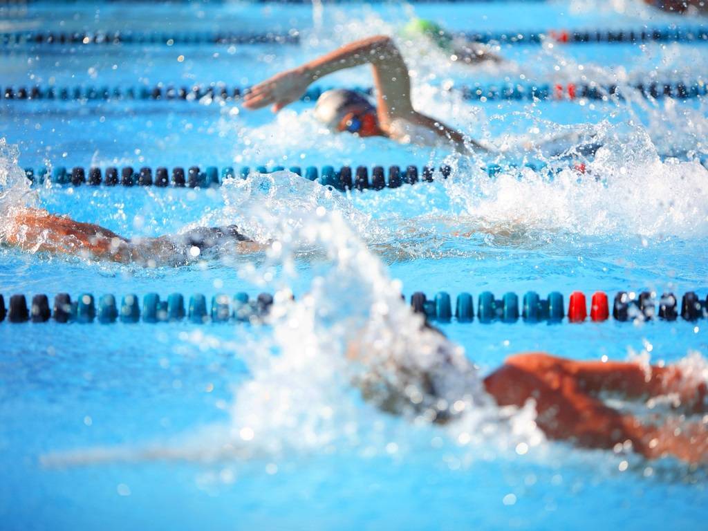 947b39097f460f8f995c swimming