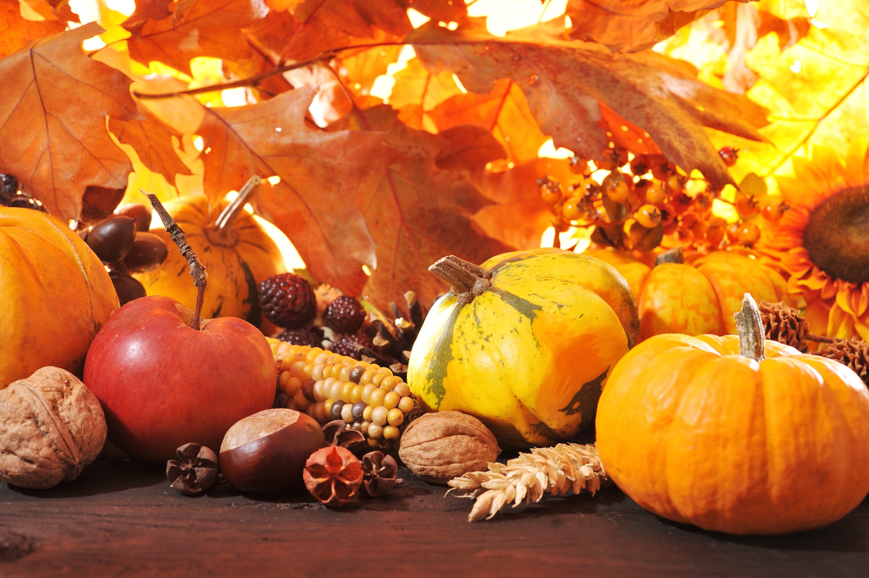 50a1d5a2f0173c970b21_Thanksgiving_2.jpg