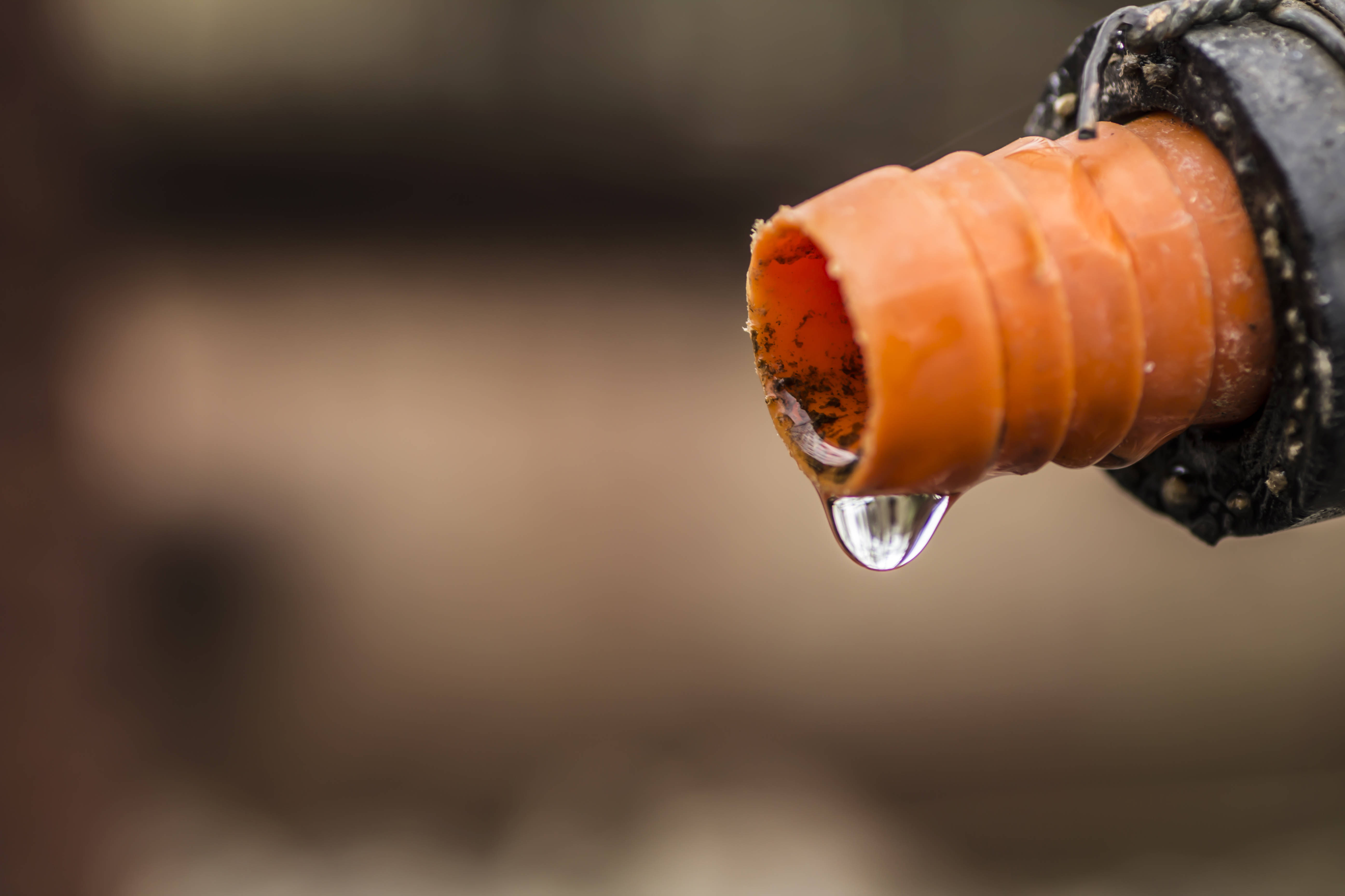 8b84ac09dc99bab1c920 water dripping 1
